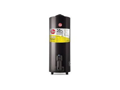 Termotanque Rheem 80 Lts