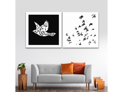 Volar en blanco y negro