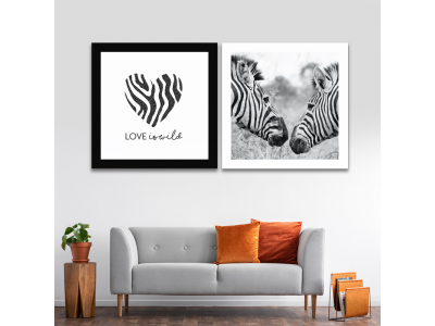 Love cebras en blanco y negro
