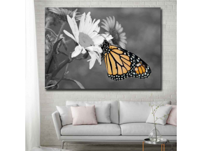 Mariposa en la flor