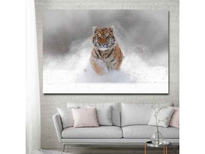 Tigre en la nieve