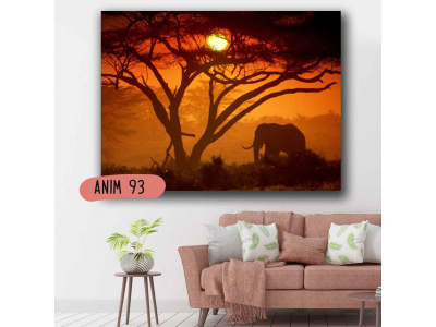 Elefante en el atardecer