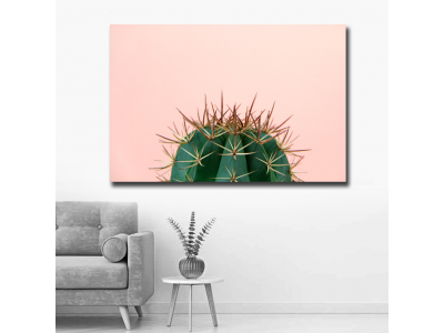 Cactus fondo rosa